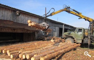 Закупка леса на пилораму