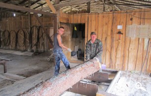 Распиловка леса на производстве