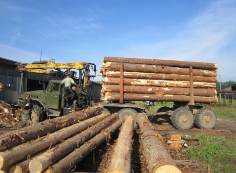 Закупка леса на пилораму
